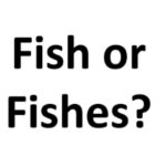 Fish vs. Fishes — 뜻, 예시 차이점은 무엇일까?