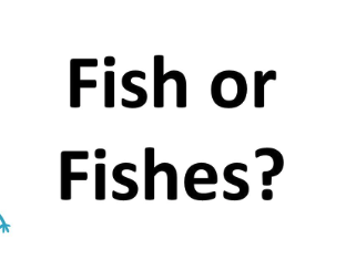 fish 복수형 Fish vs. Fishes — 뜻, 예시 차이점은 무엇일까?